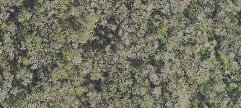 SR-44 Frontage Land Opportunity