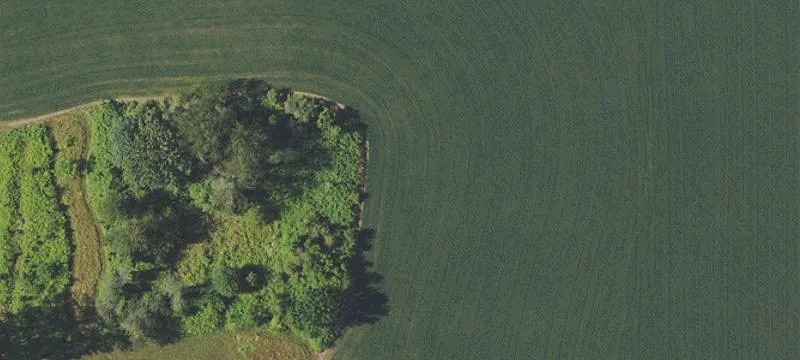 Newberg Land with Development Potential