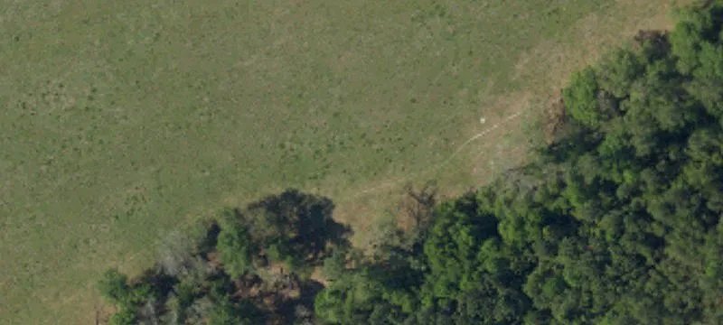 46.33 Acres I-95 Frontage