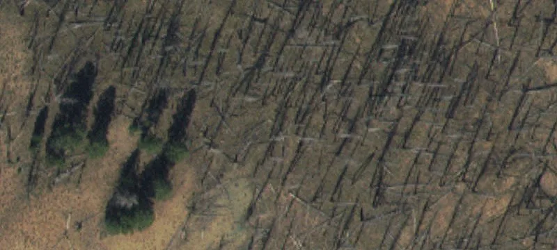Buildable Land Near Valley Creek