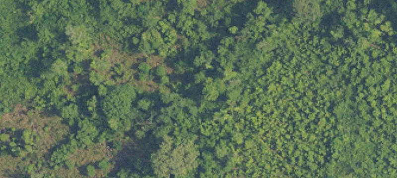 Residential Land For Sale