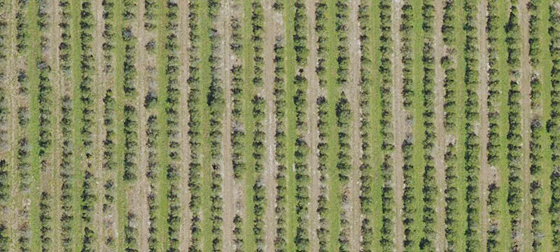 520 Acres Agricultural Land Zolfo