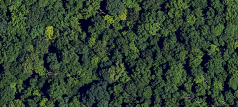 180 Acres of Rolling Land