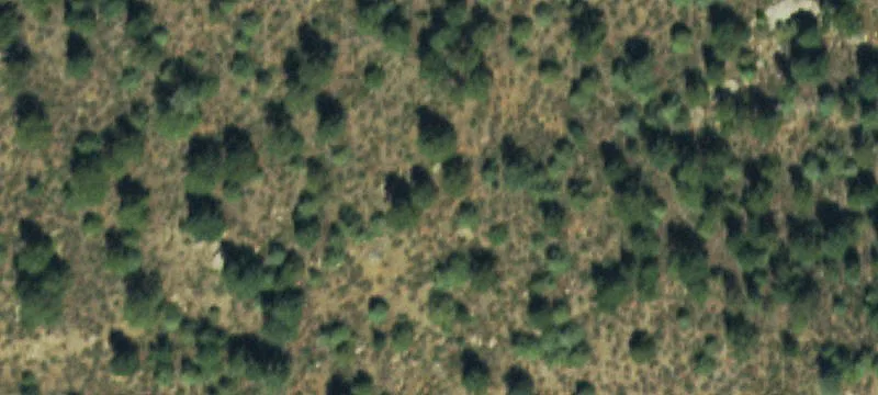 Evergreen Flex Space For Sale