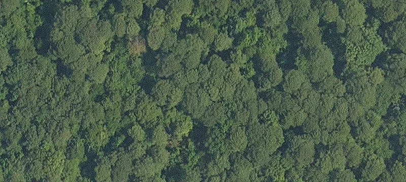 18.02 Acres of Land