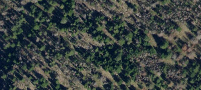 Residential Lot in One Horse Estates