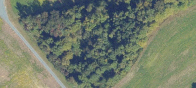 Distribution/Manufacturing Facility in Franklin, Virginia