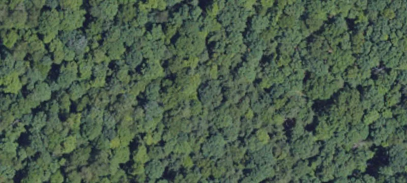 Vacant Land in Prime Location