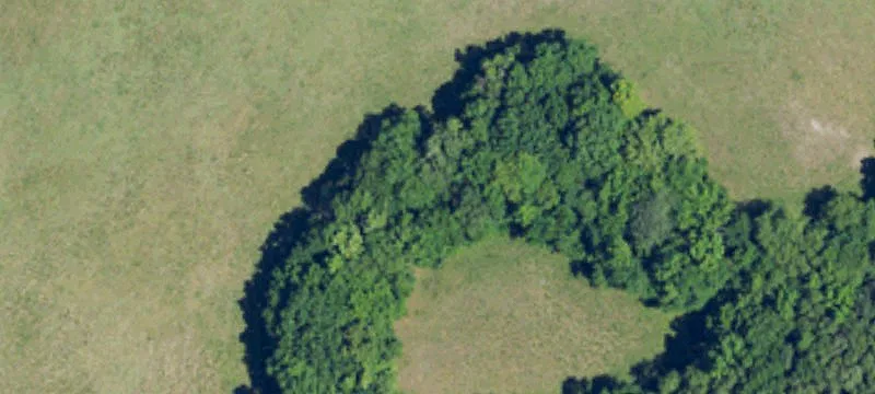 Prime Development Opportunity on US-401