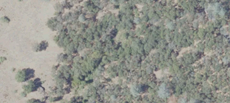 Sierra Foothills Ranch with Lake