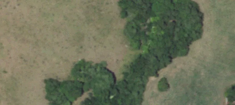Land for Lease in Schulenburg