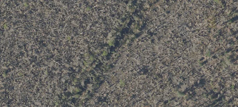 Prime Development Land Opportunity