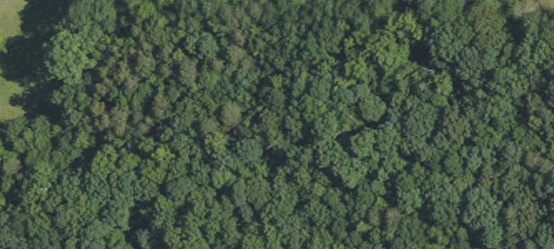 114 Acres of Raw Land