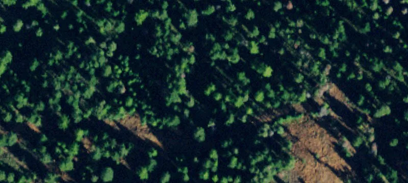 Three Acre Wooded Recreational Land