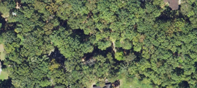 Lauderdale County Home on Acreage