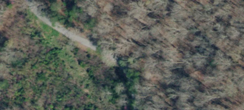 Secluded Wooded Land on Bundren