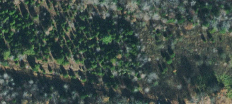 128 Acre Recreational Property