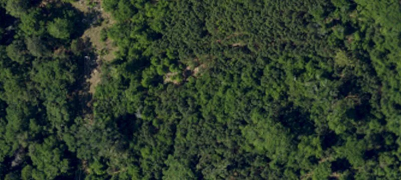 9 Acres Lady's Island Development