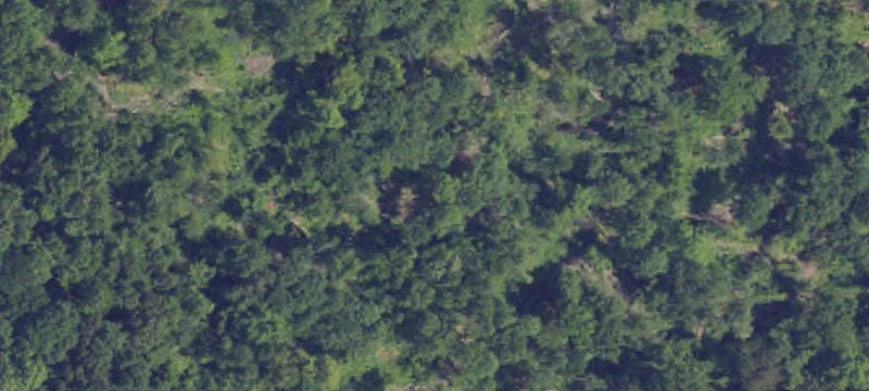 Commercial Land Near Walmart Supercenter