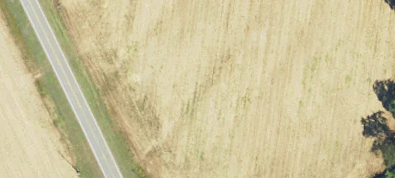 Recreational Land in Geneva County