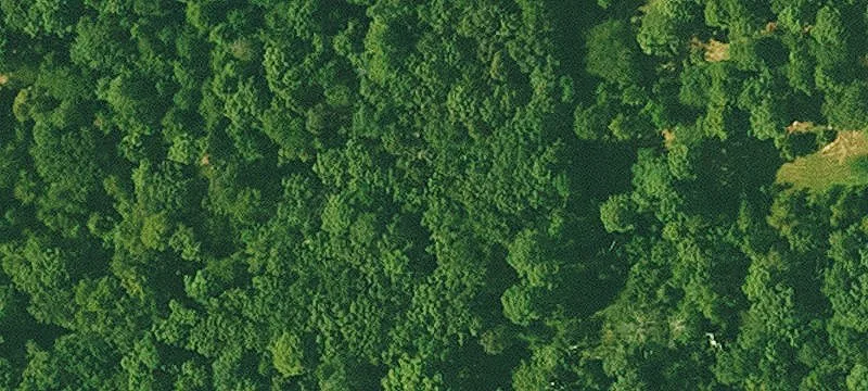 Pike County Recreational Land For Sale