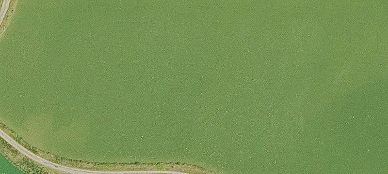 Commercial Land Near I-40