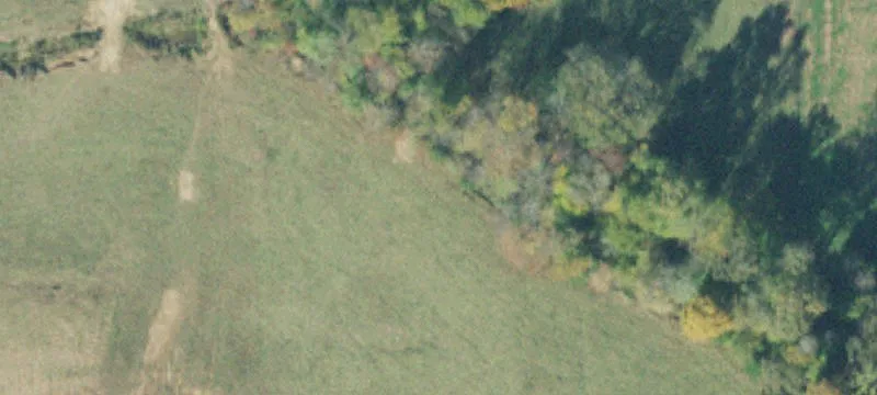 70 Acres Hunting Land Opportunity