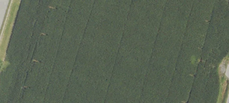 Prime Commercial Land For Sale