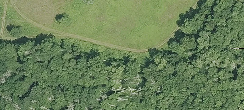 Vacant Land I-395 Interchange