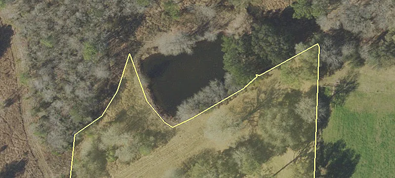 240-Acre Holmes County Farm