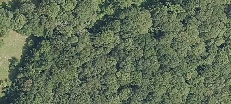 26+ Acre Development Site