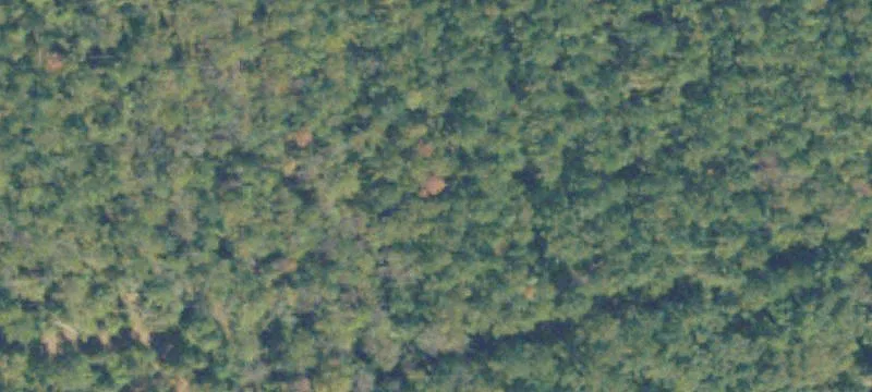 Commercial Land Near Highway 247