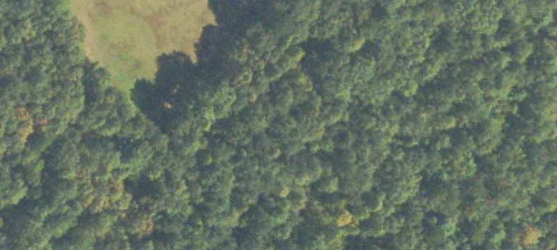 Wooded Land Near Parkway Blvd