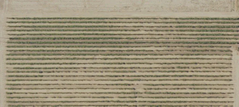 Residential Development Land in Selma