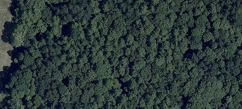 80 Acres in Hocking Hills