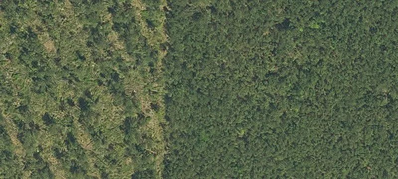 Prime Commercial Land Opportunity