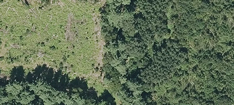27.95 Acres in Westfield, MA