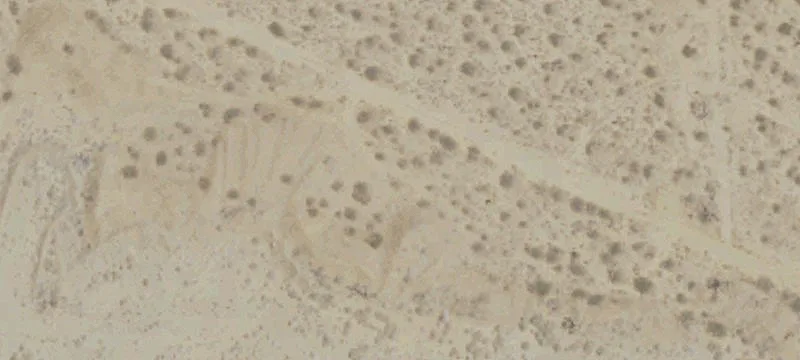Mojave Gold and Silver Quarry