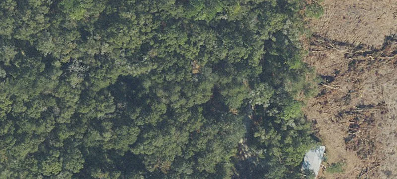 Commercial Land on Newberry Road