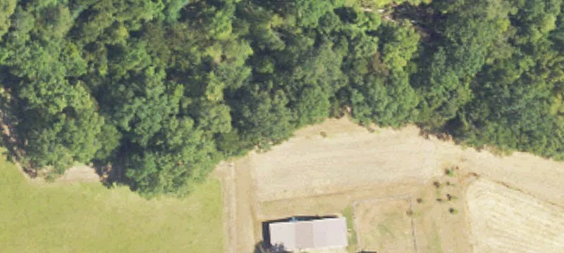 Hinds County Equestrian Estate