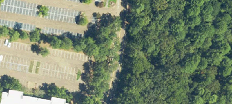 Premier Office Campus in Ridgeland