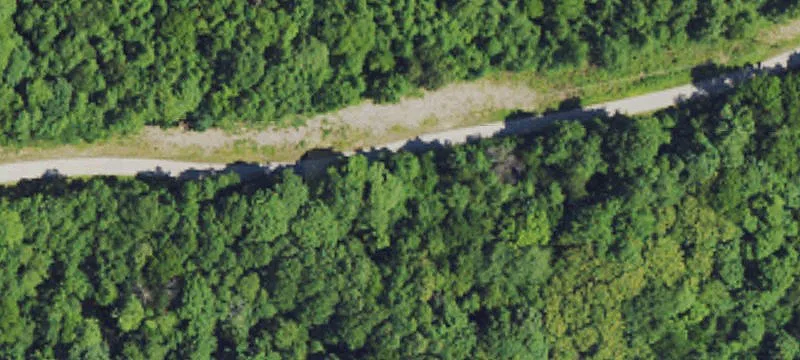Kentucky Timberland, Hunting, Recreation Land