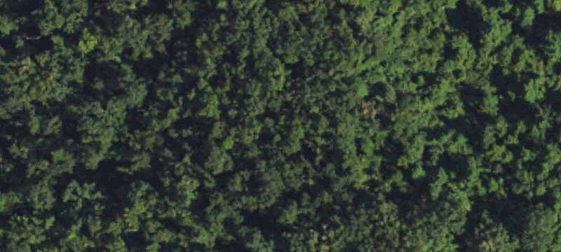 Versatile Land Parcel for Development