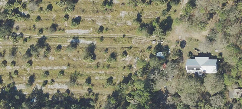 Fellsmere Land for Redevelopment