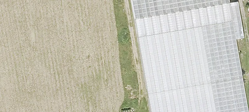Certified Organic Greenhouse Space