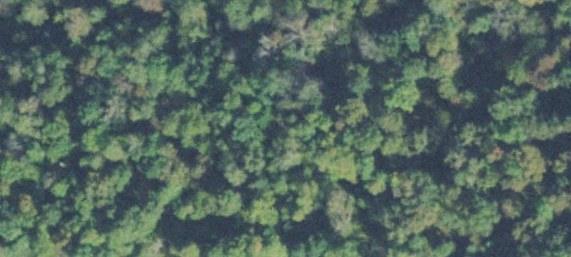 181 Acres Bordering TN Refuge
