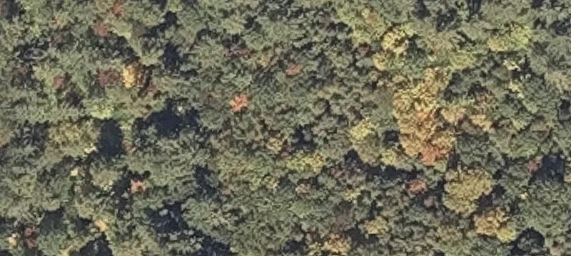 88-Acre Land Tract with Development Potential