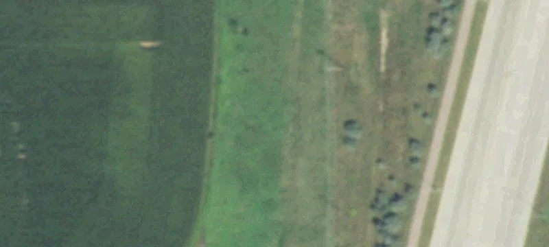 20 Acres of Land
