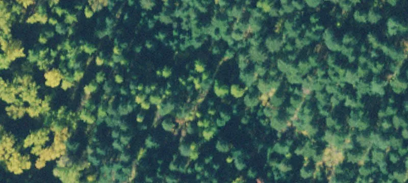 Highway 200 Recreational Land Parcel