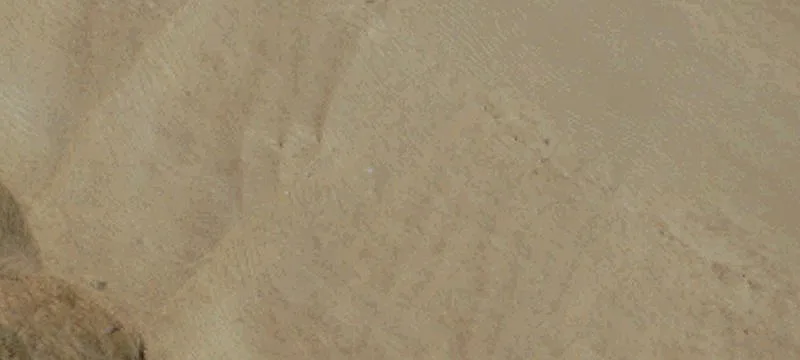 Lions Canyon Ranch Land Opportunity